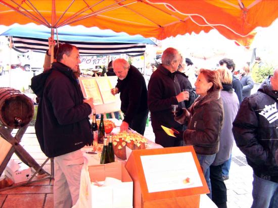 Ste Catherine 2008